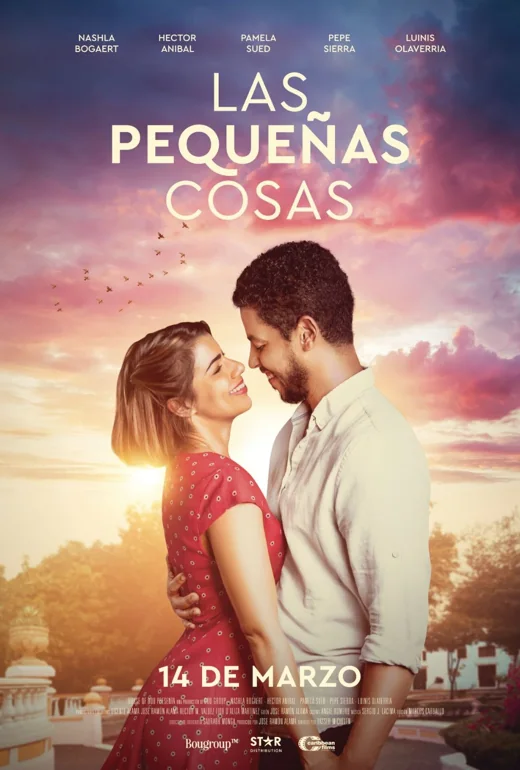 Portada de Las pequeñas cosas